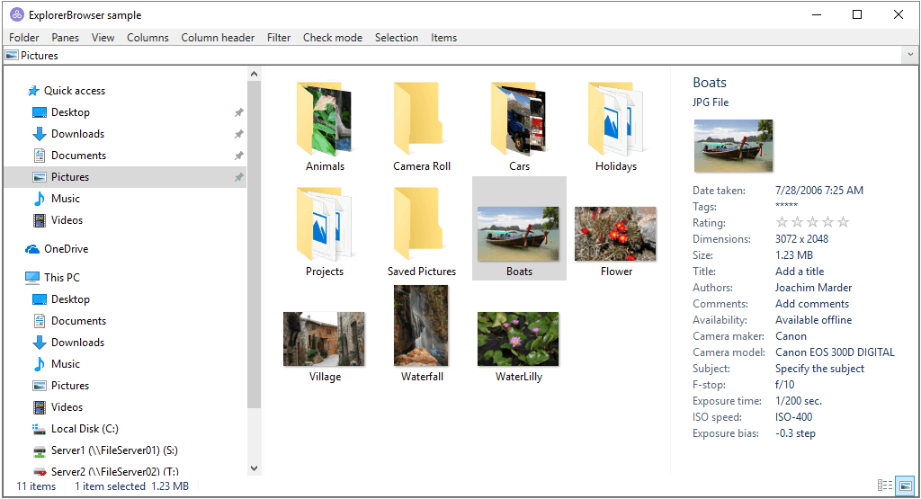 ExplorerBrowser Screenshot