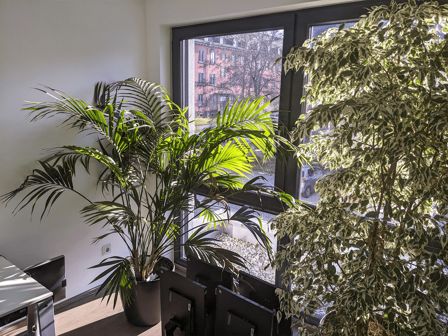 Unsere Büros sind sonnig und sehr grün!