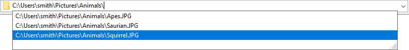 ShellBrowser_BreadCrumbBarDetail