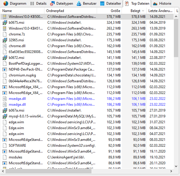 Screenshot TreeSize mit 100 größten Dateien