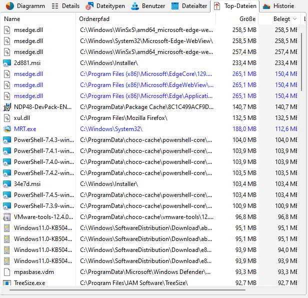 Screenshot TreeSize mit 100 größten Dateien
