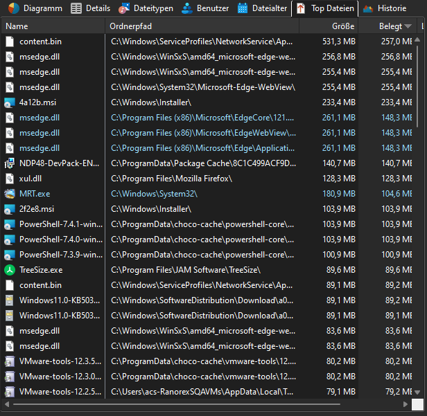 TreeSize Hauptfenster top 100 Dateien im Dark Mode
